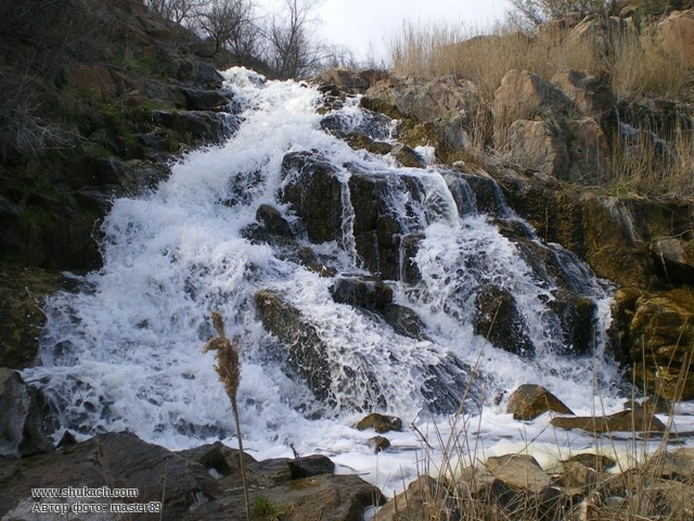 IMGP4440.JPG