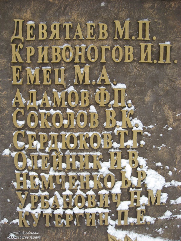 5982-70292.jpg
