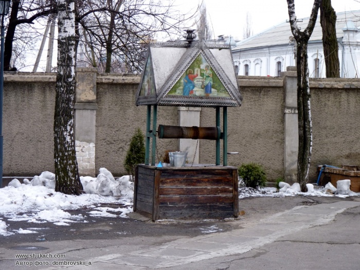 P1010828.jpg