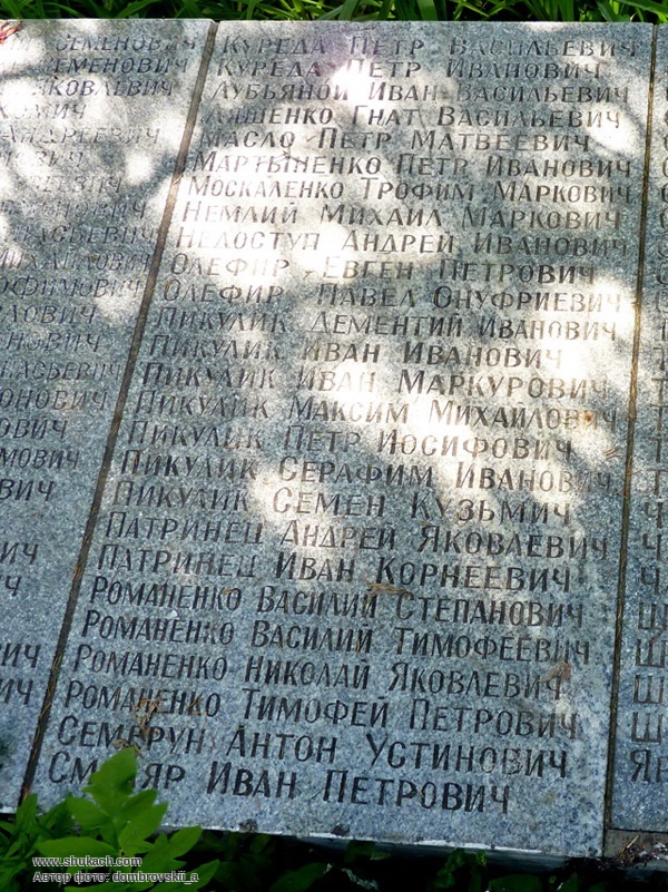 P10500445454.jpg