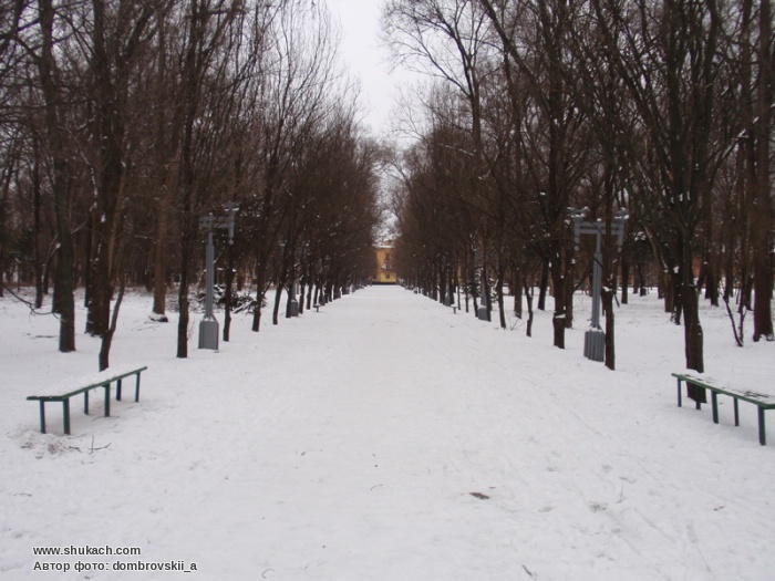 P1180028.jpg