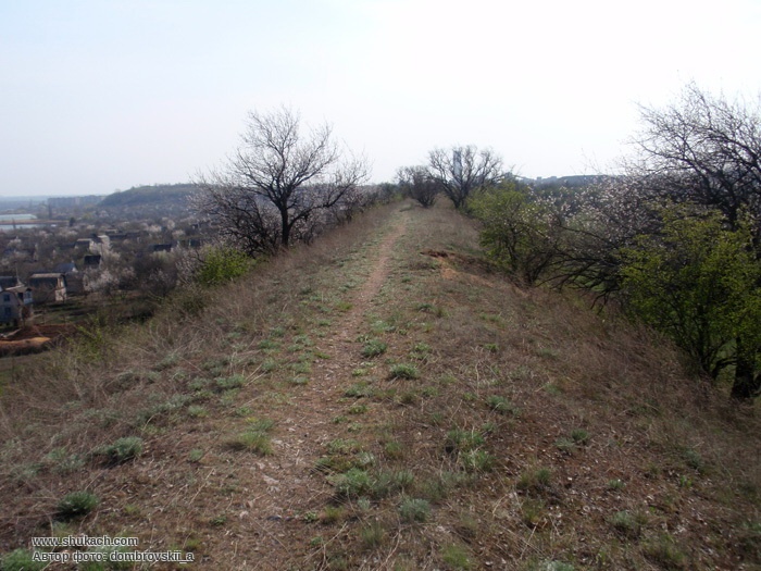 P4180108.jpg