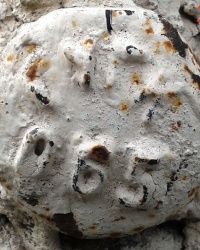 ПП ГУГК (065) по ул. Котельникова, 7, г. Луганск