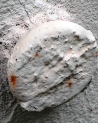 ПП по ул. Криворожская, 1 (напротив санчасти № 6), г. Днепропетровск