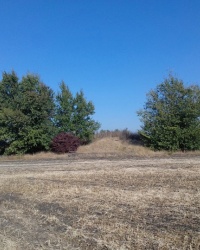 Курган 157,8, пос. Хролы