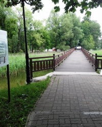 Беличья тропа вокруг озера Олецко Большое