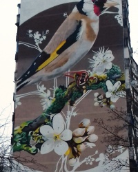 Мурал "Щегол", г. Харьков
