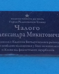 Аннотационная доска на ул. Чалого, г. Богодухов