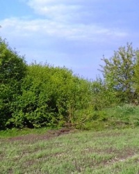 Курган, пос. Манченки