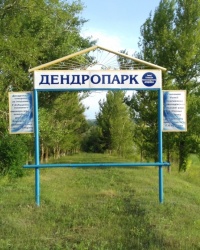 Дендропарк ім. Г.О. Луценка, с. Нечволодівка