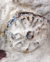 ПП ГУГК № 0865, № 9675, № 3557 на вул. Залізнична, 30, м. Львів 