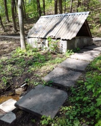 Родник, пос. Берёзовское
