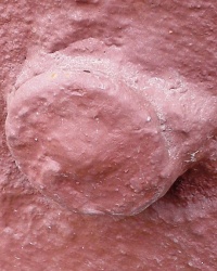 ПП на пр-те Гагарина, 157, г. Харьков
