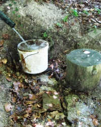 Вода из источника Феодора Студита