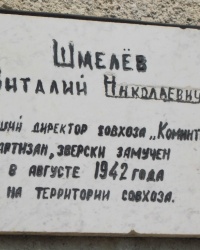 Памятная доска Шмелёву В.Н., с. Зализнычнэ
