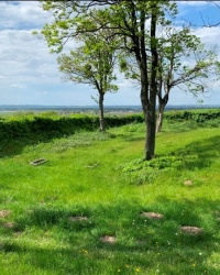 Городище и евангелистское кладбище, г. Унислав