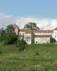 Свірзький замок