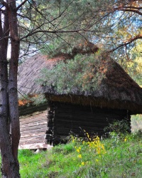 Музей в Пирогові. Старовинна клуня, Буковина.