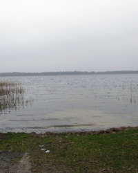 Озеро Перемут у смт. Шацьк