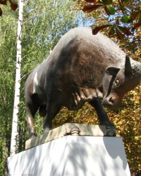 Памятник быку в г. Черкассы