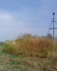 Триангуляційний пункт, висота 183,1. с. Германівка 