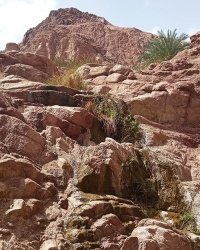 Водопад в каньоне Wadi Gnai