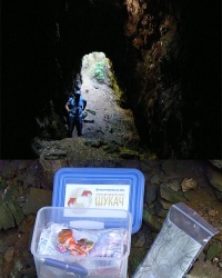 Кочубеевский ларец