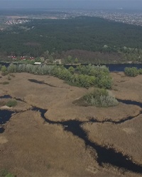 Обуховские плавни (Протовчанские плавни) на реке Днепр. Днепровско-Орельский природный заповедник