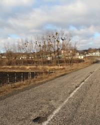 с.Андреевка (Новомосковский р-н). Тайник