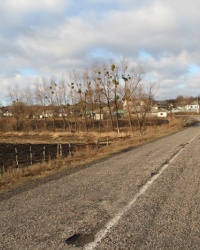 с.Андреевка (Новомосковский р-н). Тайник