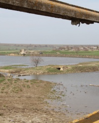 Березнеговатое. Тайник