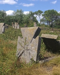 Казацкий некрополь 19 века в с. Буша
