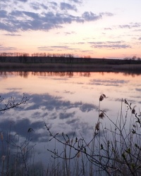 Казацкий хутор Ломачинъ
