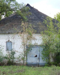 Конный манеж пана Гуреева в с.Гуляйполе