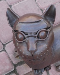 Кот политех. Одесские коты в г. Одесса