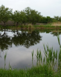 с.Першотравенка (Магдалиновский р-н). Тайник