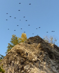 Скала Малиновского. Тайник