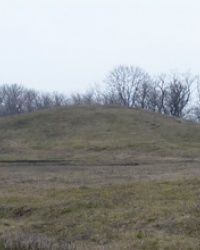 Курган (5м) в с.Милорадовка