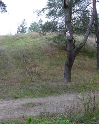 Курган (Высота 65.4) возле с. Песчанка