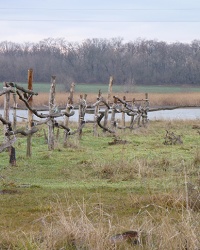 Село Новопушкаревка (Криничанский р-н). Фото-квест