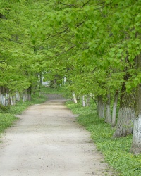 Березоворудский парк (парк Закревских)