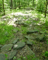 Каменная тропа в Урочище Диевская Дача