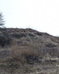 Курган 6 м. в пгт. Лиховка