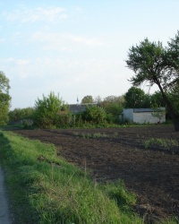 Свято-Покровский храм в Манченках (действующий)