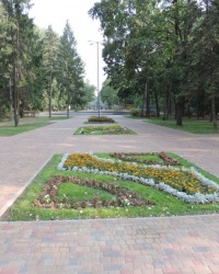 Центральный парк. Тайник