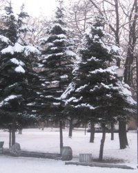 Памятник Т.Г.Шевченко в Авдеевке