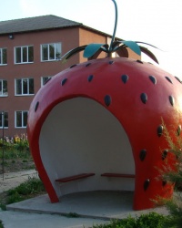 Автобусная остановка в с.Лески (Килийский р-н)