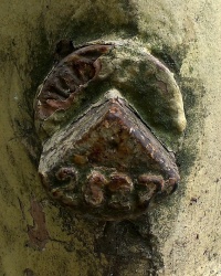 Репер №2627 по пр.Гагарина, 119 в г.Днепропетровске