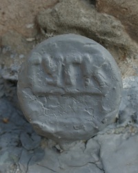 ПП ГУГК  по ул.Кирова, 2 (пос.Таромское) в г.Днепропетровске