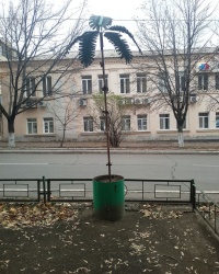 Рукотворная пальма в г.Донецке